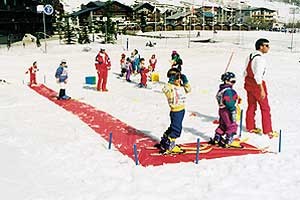 Skischulmatte 12,5m x 0,75m + 2,50m x 0,75m, dunkelgrün
